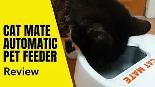 Cat mate C500 automatic pet feeder review