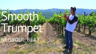 Freestyle Neosoul #trumpet
