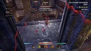 eso pvp stamina Dragon knight morrowind test build