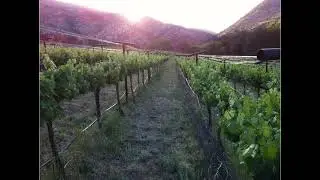 Wine Tasting in North Central Arizona