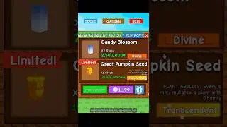 Great Pumpkin Seed in STOCK in Grow a Garden #growagarden #roblox #shorts