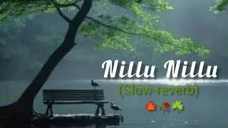 Nillu Nillu || Slow-reverb|| Dil Rangeela || kannada song || Towords_lyrics🍁