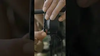BlackLite Snag Ear│Solar Tackle│Product Showcase #fishing #carpfishing #solartackle