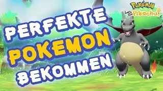 PERFEKTE IVs BEKOMMEN! Spezialtraining! #20 Pokemon Let's Go Pikachu & Evoli - Tipps & Tricks!