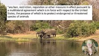 (CLE) U.S. Legal Tools to Address International Wildlife Issues: Spotlight on the Pelly Amendment