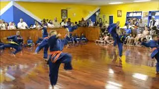 LIONMAN Foundation, Inc, & BLUE LION Karate Academy Presents BLUE BLUE Day