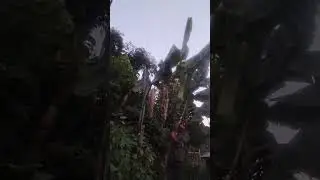 weird video #kenya #weirdvideo #finnyshortvideo #viralvideo #new #funnycomedy #memes #1mviewers