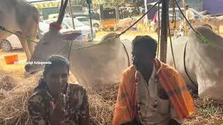 ಸಪ್ಲಮ್ನನ ಜಾತ್ರೆ 2026❤️#youtoober