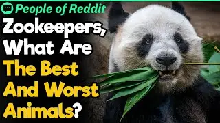 Zookeepers, What Are The Worst Animals To Work With? | People Stories #162
