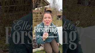 S&aring; direkte eller forspiring? &AElig;rter og Hesteb&oslash;nner. Marts og April.
