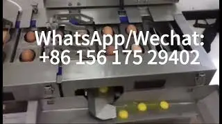 High Automation Egg Cracking and Egg White Yolk Separating Machine