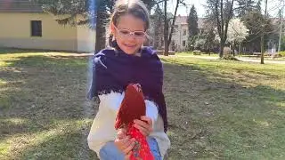 Csutkababa - H&oacute;nap műt&aacute;rgya &aacute;prilis