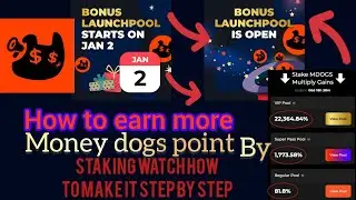 How to earn more points in money dogs airdrop launch pool is open Reba uko wa staking money dogs 👇👇👇