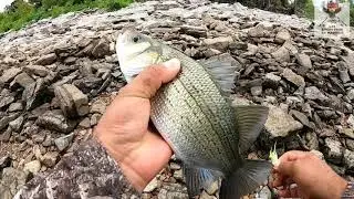 Pesca en counce Tennessee  con mi compa Ricardo solis