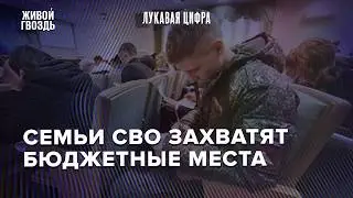3 причины, почему квоты для семей участников СВО - проблема для ВУЗов и государства