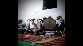 الشيخ عمر في قصيدة يابن النيلية