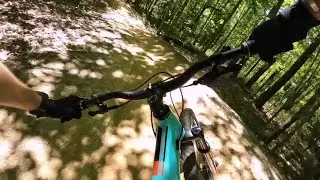 Can a folding bike do this