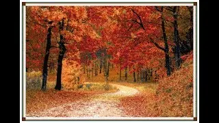 Cross Stitch Patterns| for |cross stitch designs| Nature 41