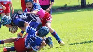 Ivanhoe Knights - Shane Muspratt 2018
