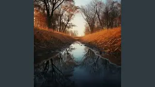 Serenade of Peace in Relaxation