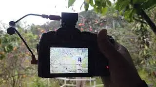 DJI 0734