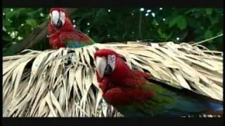 Punta Cana tripcentral.ca Agent Review