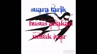 suara tarik ini mampu menyedot anakan walet saat musim anakkan husus suara luar