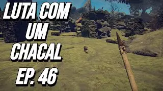 LUTA INTENSA COM UM CHACAL! 🐺 | Survival Fountain of Youth EP 46