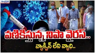 Nipah Virus Alert in India |Everything You Must Know |Causes, Symptoms & Prevention#andhraprabhanews