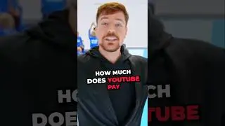 Сколько YouTube заплатил мистеру Бисту за 30 дней? #youtubemoney #mrbeast