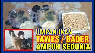 Umpan ikan tawes, Bader teruji ampuh