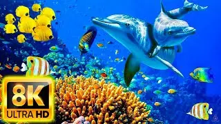 PLANET OCEAN 8K ULTRA HD - Immerse yourself in nature with music - 8K Video