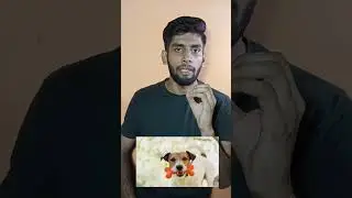 why dog eats bone #day1  #dog #short #100dayschallenge