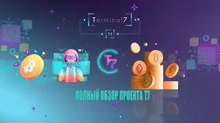 Terminal7 - Полный Обзор Проекта
