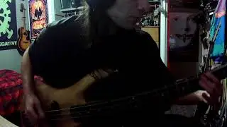 Propagandhi - The Only Good Fascist Is a Very Dead Fascist (bass Cover)
