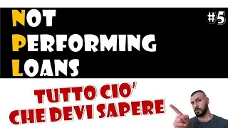 NPL - Not Performing Loans | Data Quality - Remediation - Enrichment | #5