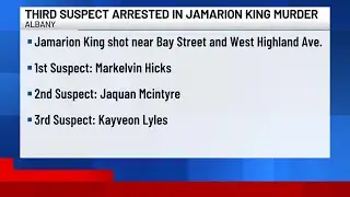 Albany murder suspect among several arrested in multi-agency search-warrant operation