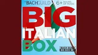 Vivaldi: Concerto for Bassoon, Strings and Harpsichord in G Minor, II. Largo