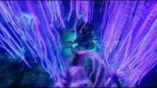 Jake & Neytiri - Before the dawn