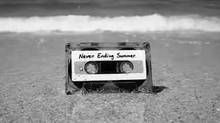 Never Ending Summer | Acoustic | The Midnight Pulse