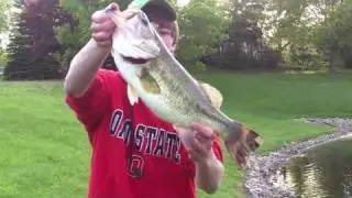 BIG Illinois Bass (5/6/10)