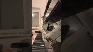 Aerofly FS 2022 Flight Simulator: Trailer Music (Piano)