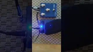 T-Rex Alberta Handbuilt Denmark vs Standard comparison - overdrive pedal
