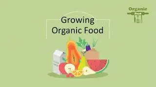 Organic Food in India