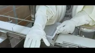 TSB-100 Prefilled Syringe Automatic Nesting Machine