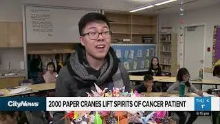 2000 paper cranes lift spirit of cancer patient