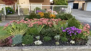 Garden Tour, Boulevard Flower Bed (4K) - September 1, 2024