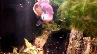 CIMG0212.AVI