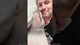 The Miracle of Cole the Deaf Dog  #video #shorts @pug