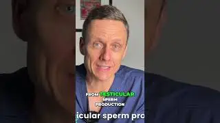 Prostate Surgery: What Happens to Your Erections and Ejaculation?